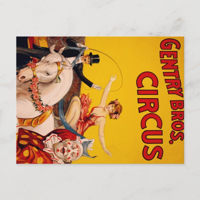 Carte Postale Cheval de cirque (Devant)
