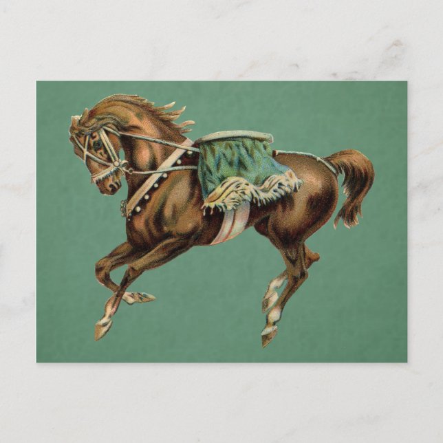 Carte Postale Cheval de cirque vintage (Devant)