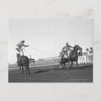 Carte Postale Cheval de course