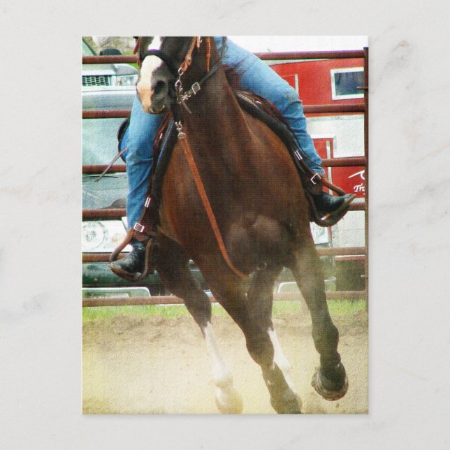Carte Postale Cheval de course de baril (Devant)