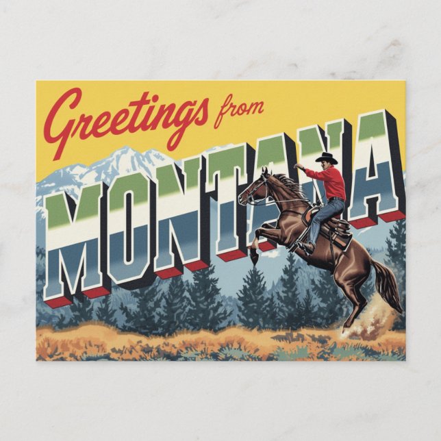 Carte Postale Cheval de Cowboy du Montana (Devant)