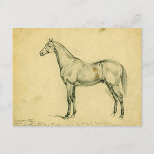Carte Postale Cheval de guerre du général Grant