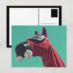 Carte Postale cheval de guerre froide