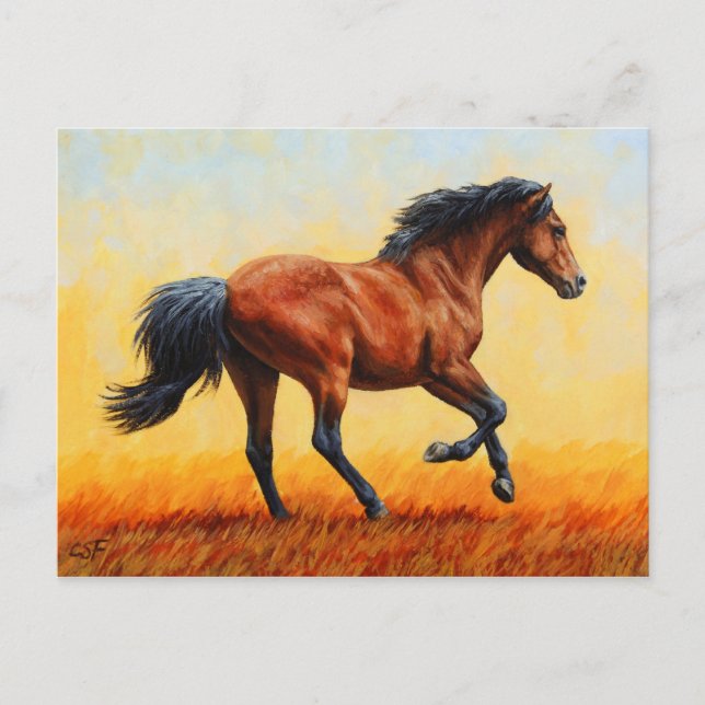 Carte Postale Cheval de la baie de Running Wild Mustang (Devant)