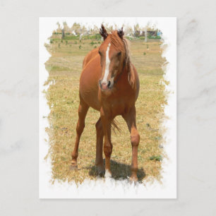 Carte postale Cheval de l'année de châtaignier