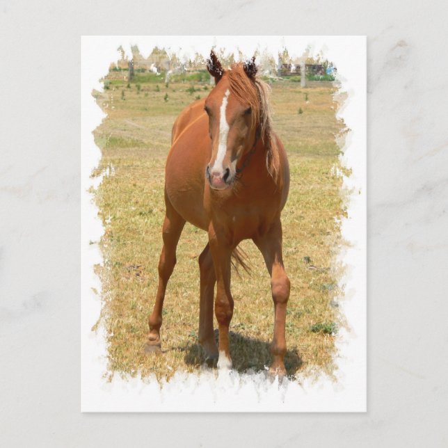 Carte postale Cheval de l'année de châtaignier (Devant)
