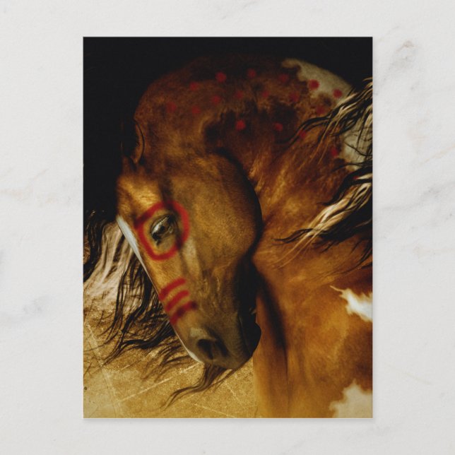 Carte Postale Cheval de l'Esprit (Devant)