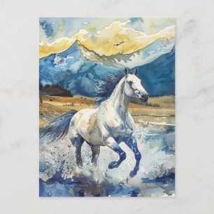 Carte Postale Cheval de montagne