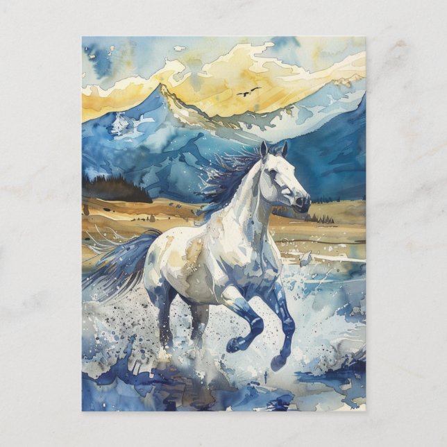 Carte Postale Cheval de montagne (Devant)