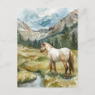 Carte Postale Cheval de montagne