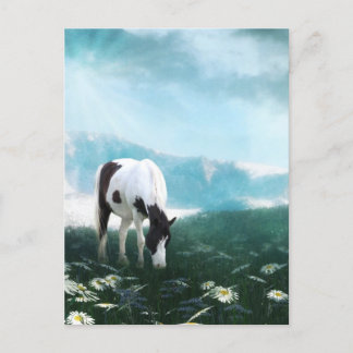 Carte Postale Cheval de peinture