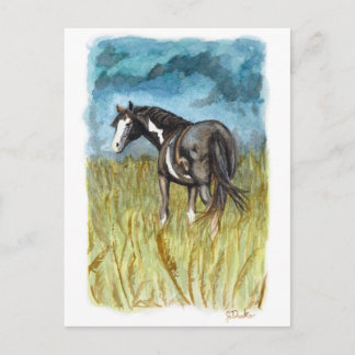 Carte Postale Cheval de peinture noir et blanc Art à l'aquarelle