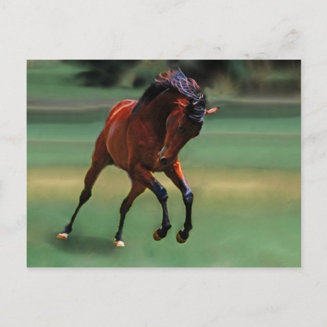 Carte Postale Cheval de rodéo pour cowboy (Devant)