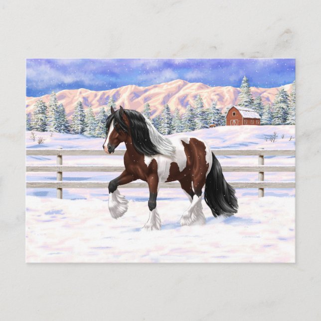 Carte Postale Cheval de Tinker Tinker Gypsy Vanner Brown Pinto (Devant)
