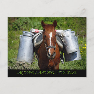 Carte Postale Cheval de travail