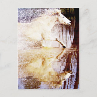 Carte Postale Cheval d'eau blanche à la galopante
