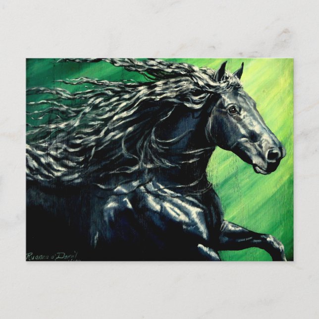 Carte Postale Cheval d'étalon noir friésien (Devant)