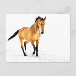 Carte Postale Cheval d'or dans la neige