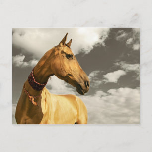 Carte Postale Cheval d'or du Turkménistan