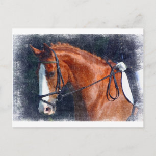 Carte Postale Cheval Dressage