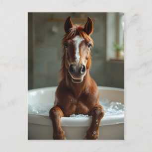 Carte Postale Cheval drôle dans la salle de bain