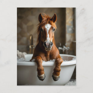 Carte Postale Cheval drôle dans la salle de bain