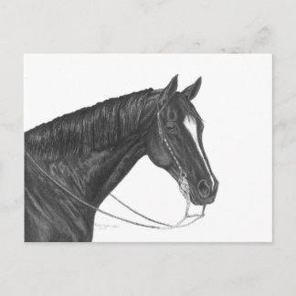 Carte Postale Cheval du quart