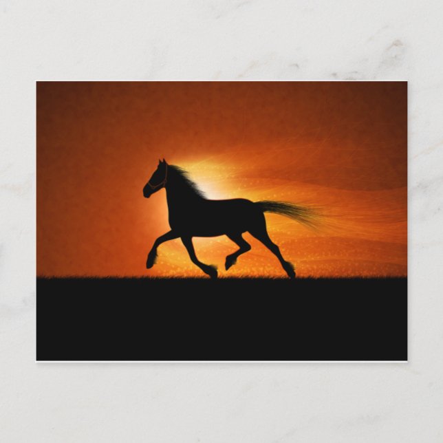 Carte Postale Cheval en course (Devant)