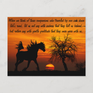 Carte Postale Cheval en liberté au coucher du soleil