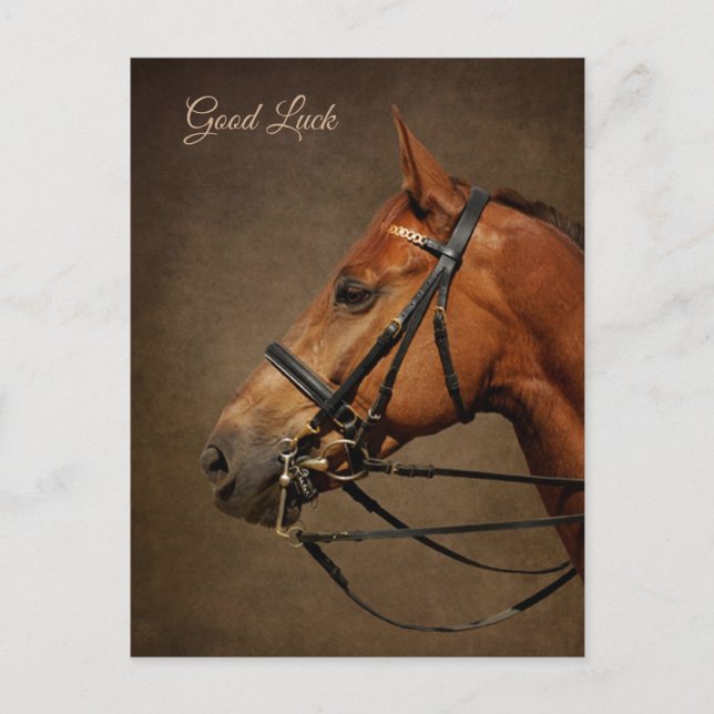 Carte postale Cheval Et Bridle Bonne Chuck (Devant)