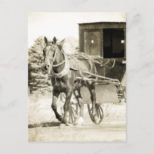 Carte Postale Cheval et Buggy Sepia