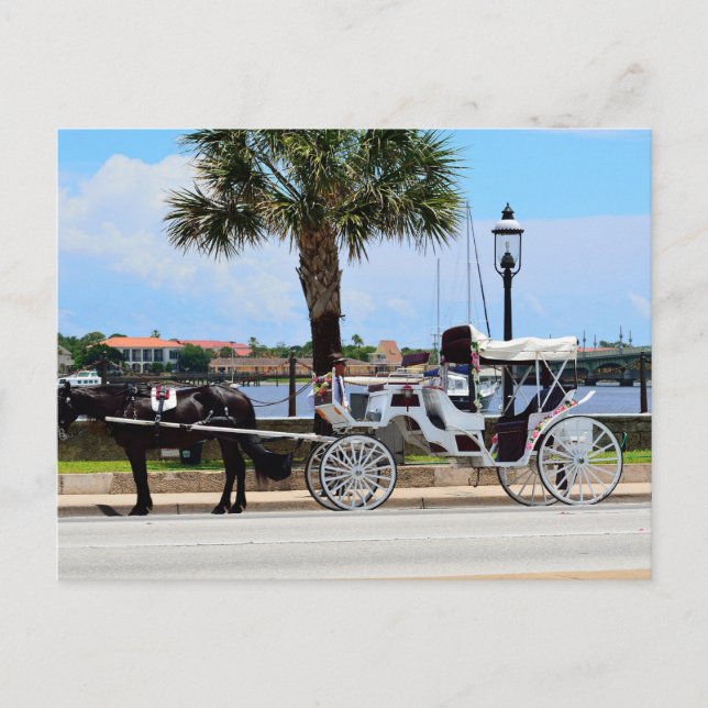 Carte Postale Cheval et calèche St. Augustine, Floride. (Devant)