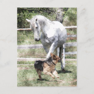 CARTE POSTALE CHEVAL ET CHIEN JOUER DE LA COULEUR D'EAU