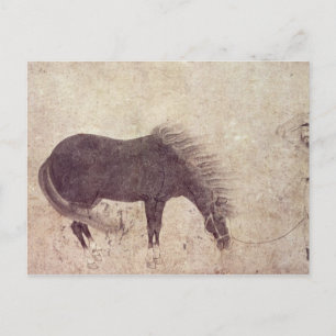 Carte Postale Cheval et groom en hiver