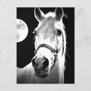 Carte Postale Cheval et Lune