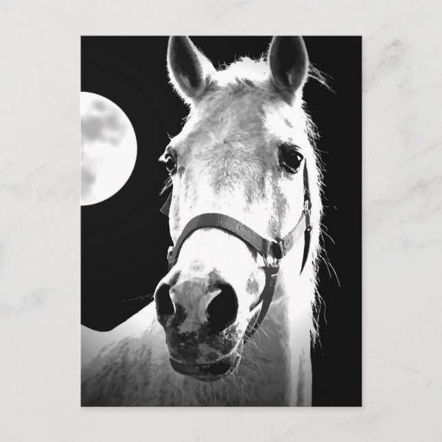 Carte Postale Cheval et Lune (Devant)