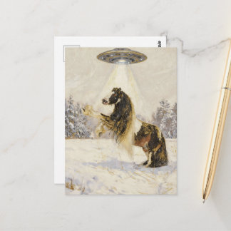 Carte Postale Cheval et un OVNI en hiver