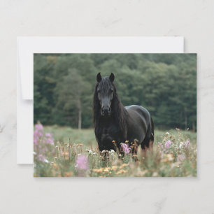 Carte Postale Cheval friésien dans un champ Fleur sauvage