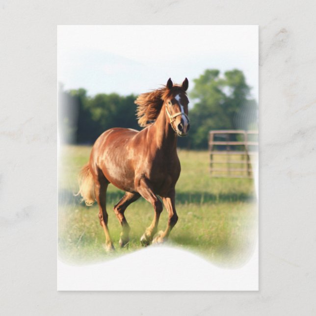 Carte postale Cheval Galloping de châtaignes (Devant)