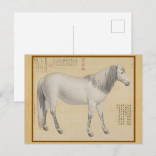 Carte Postale Cheval gris pommelé - Art fin chinois vintage