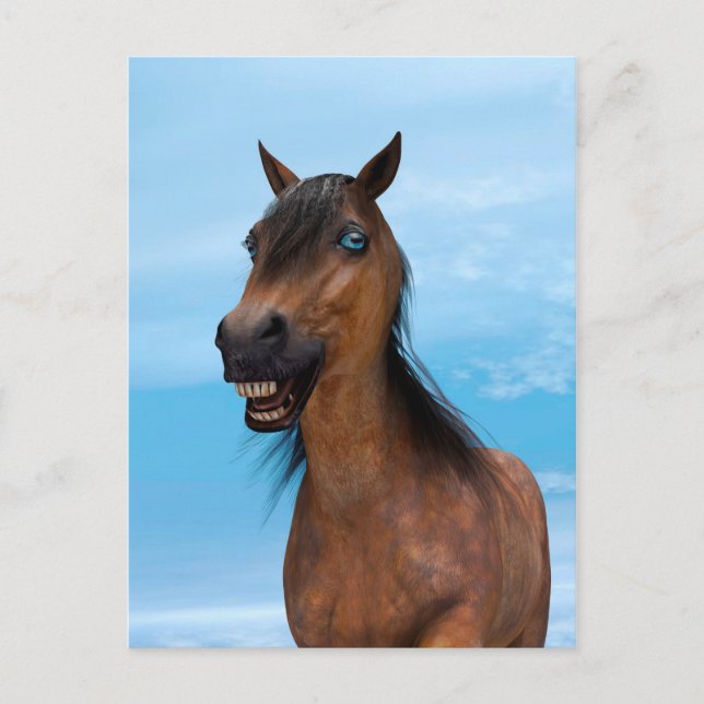 Carte Postale Cheval heureux (Devant)