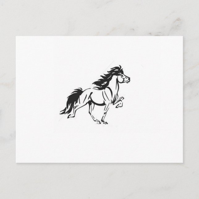 Carte Postale Cheval islandais (Devant)