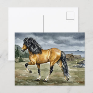 Carte Postale Cheval islandais Stormur au bord de la mer