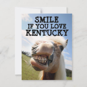 Carte postale CHEVAL KENTUCKY