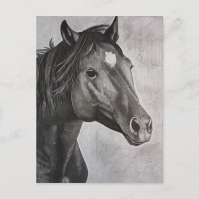 Carte Postale Cheval Main Drake Art (Devant)