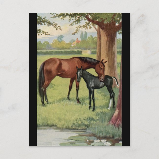 Carte Postale Cheval Mare Foal Équestre Vintage Image (Devant)
