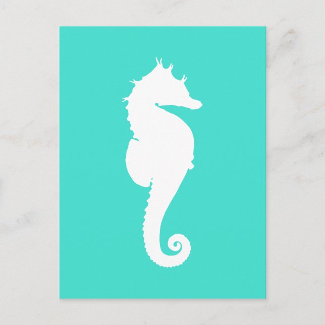 Carte Postale Cheval marin blanc sur turquoise (Devant)
