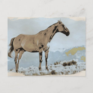 Carte Postale *~* Cheval - Montagnes Hill AR22 Equine Western