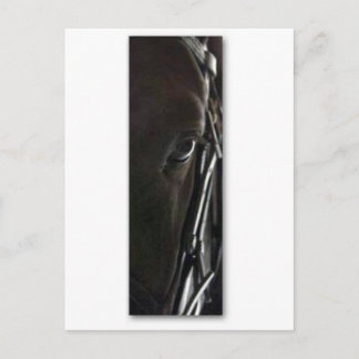 Carte Postale cheval noir