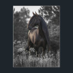 Carte Postale Cheval noir blanc photo moderne<br><div class="desc">Cette conception a été créée par art numérique. Elle peut être personnalisée en cliquant sur le bouton personnaliser et en modifiant la couleur, en ajoutant un nom, des initiales ou vos mots préférés. Contactez-moi à l'adresse colorflowcreations@gmail.com si vous souhaitez que ce design soit disponible sur un autre produit. Voir d'autres...</div>